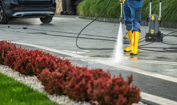Best Driveway Pressure Washing  in Chico, CA